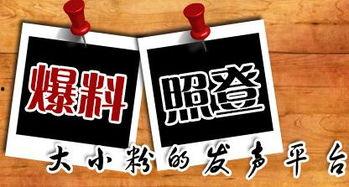 爆料新闻平台,爆料新闻平台背后的真相与影响